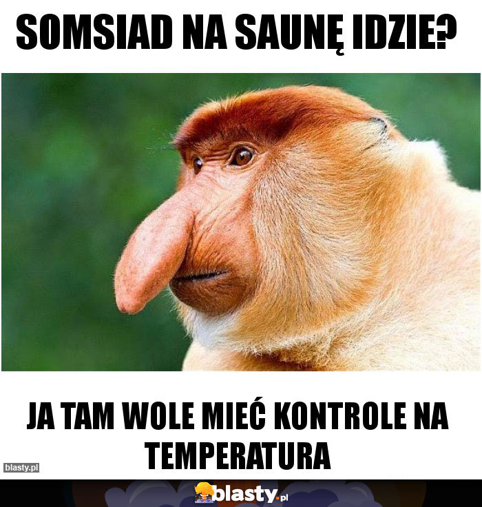 somsiad na saunę idzie? somsiad na saunę idzie?