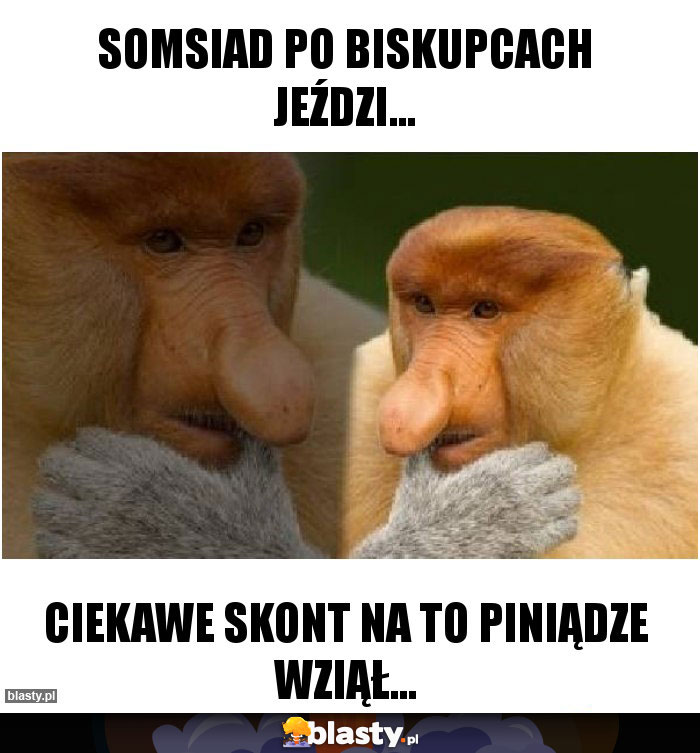Somsiad po Biskupcach jeździ...