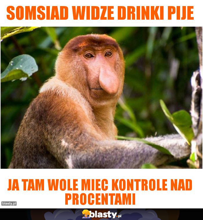 Somsiad widze drinki pije Somsiad widze drinki pije