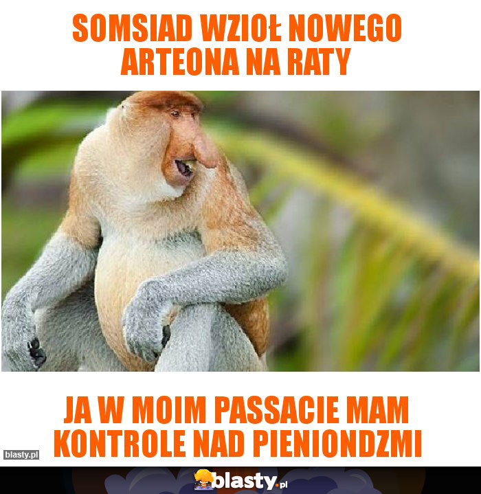 Somsiad wzioł nowego arteona na raty Somsiad wzioł nowego arteona na raty