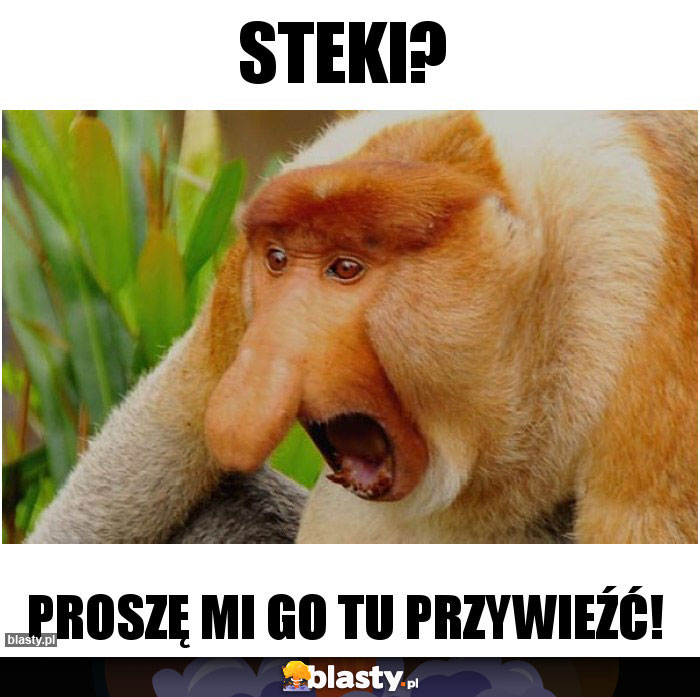 Steki?