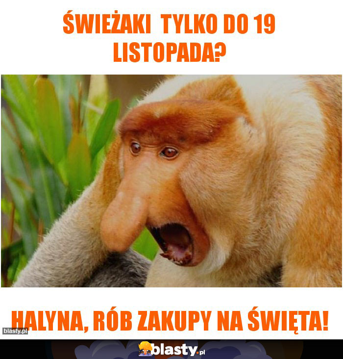 Świeżaki tylko do 19 listopada? Świeżaki tylko do 19 listopada?