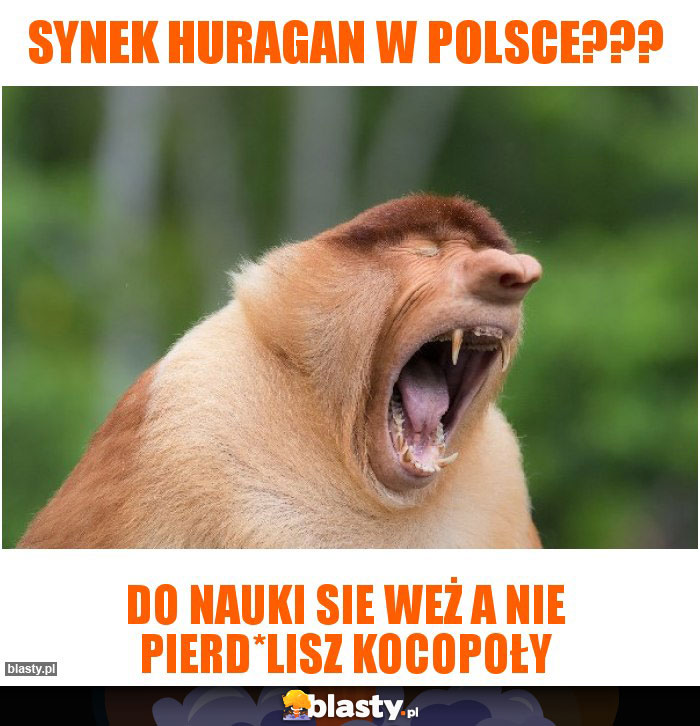 SYNEK HURAGAN W POLSCE???