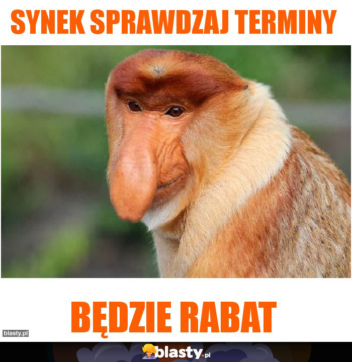 Synek sprawdzaj terminy