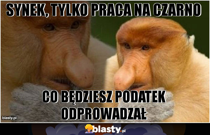 Synek, tylko praca na czarno Synek, tylko praca na czarno