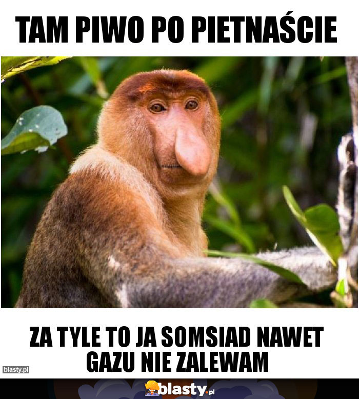Tam piwo po pietnaście