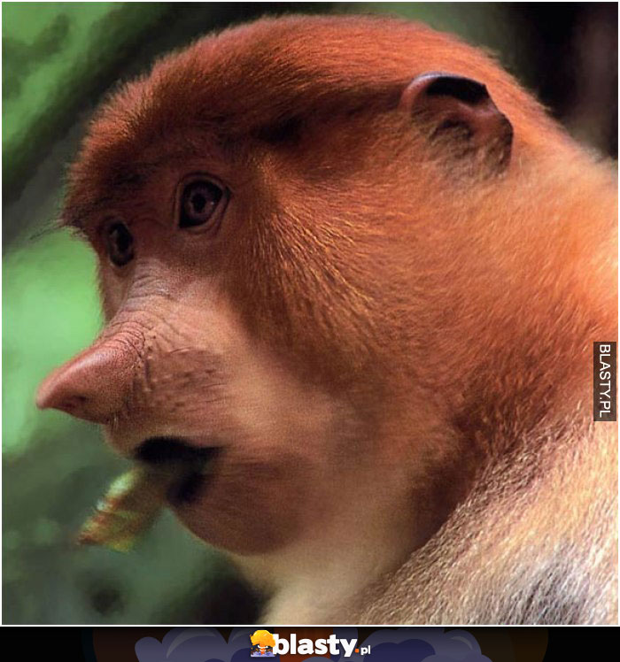 Tata, kup mi garnitur