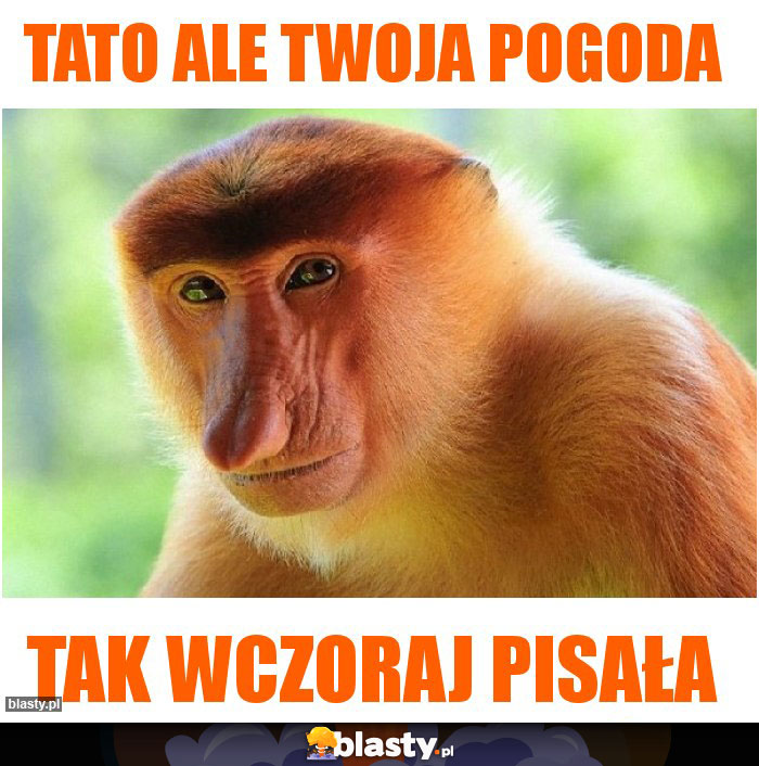 tato ale twoja pogoda