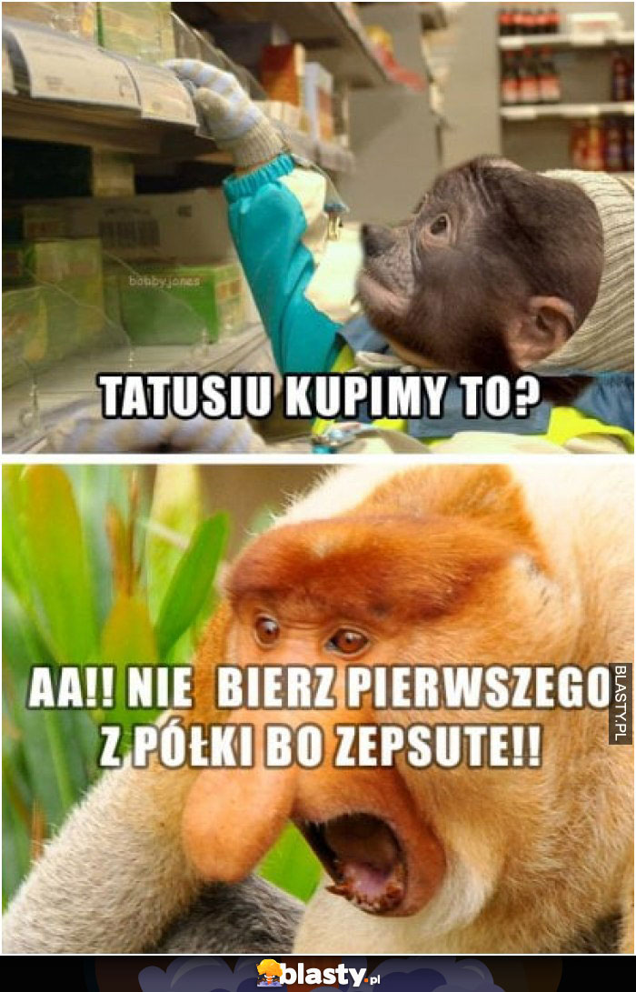 Tatuś kupimy to ?