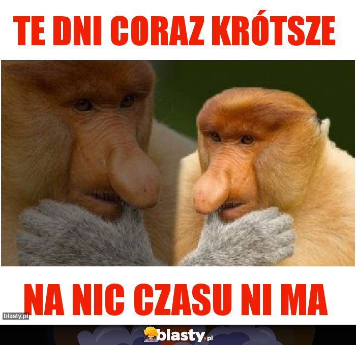 te dni coraz krótsze te dni coraz krótsze