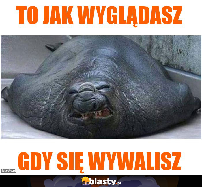 To jak wyglądasz To jak wyglądasz