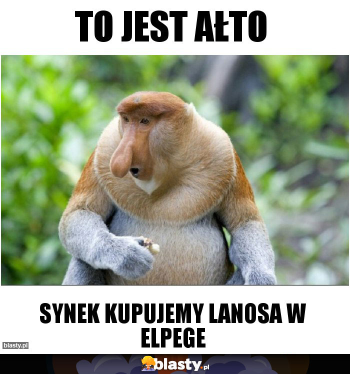 To jest ałto