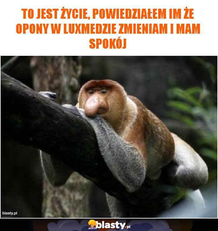 To jest życie, powiedziałem im że opony w luxmedzie zmieniam i mam spokój