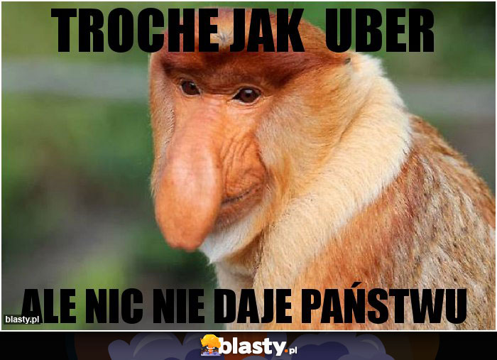 troche jak  uber