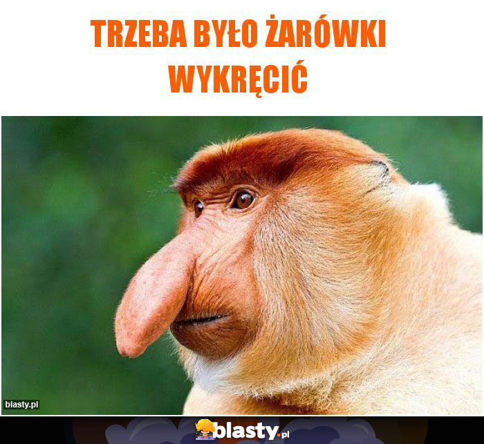 Trzeba było żarówki wykręcić