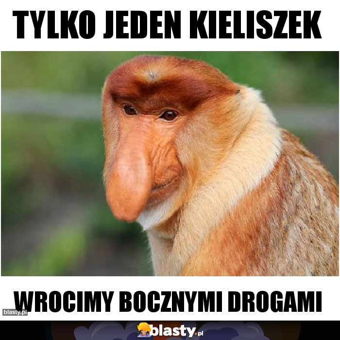 Tylko jeden kieliszek Tylko jeden kieliszek
