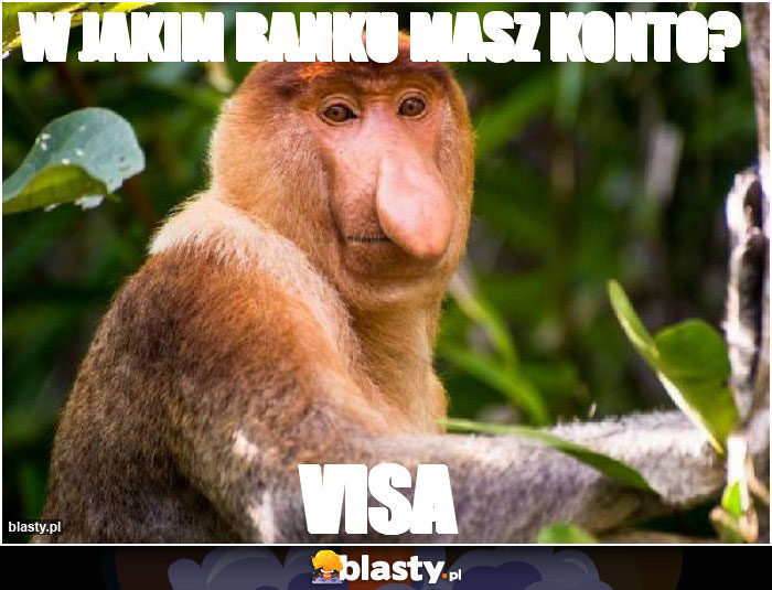 W JAKIM BANKU MASZ KONTO? W JAKIM BANKU MASZ KONTO?