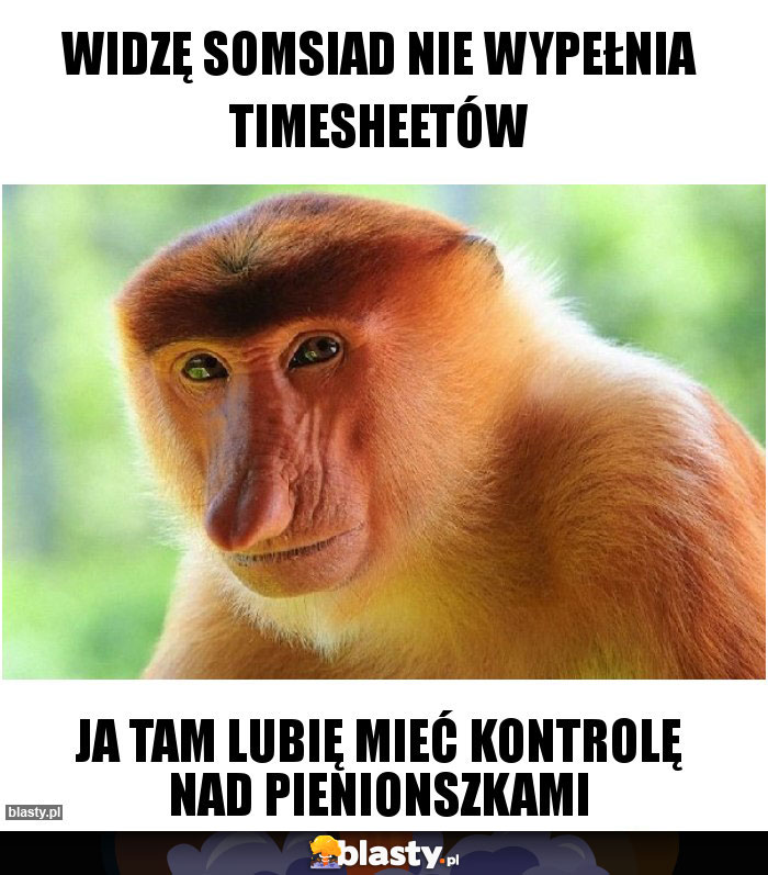 widzę somsiad nie wypełnia timesheetów widzę somsiad nie wypełnia timesheetów