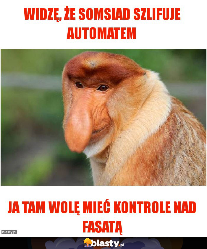 Widzę, że somsiad szlifuje automatem