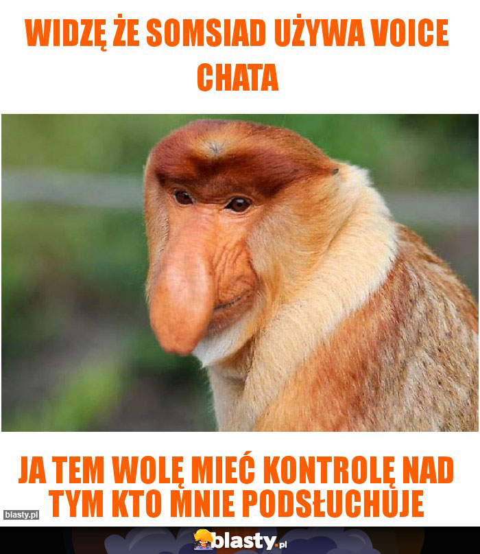 Widzę że somsiad używa voice chata Widzę że somsiad używa voice chata