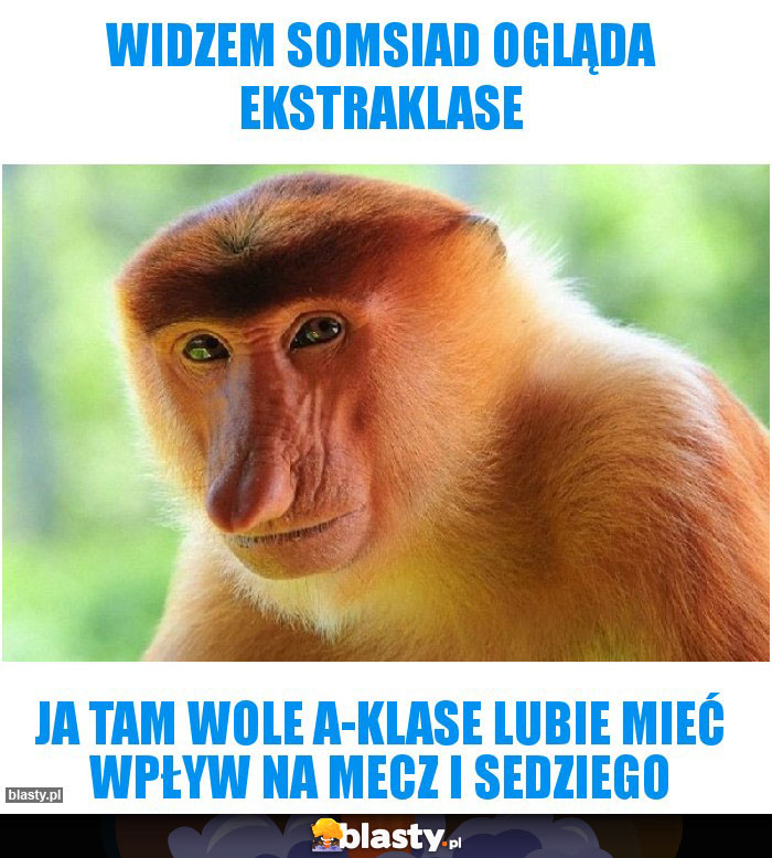 Widzem somsiad ogląda ekstraklase