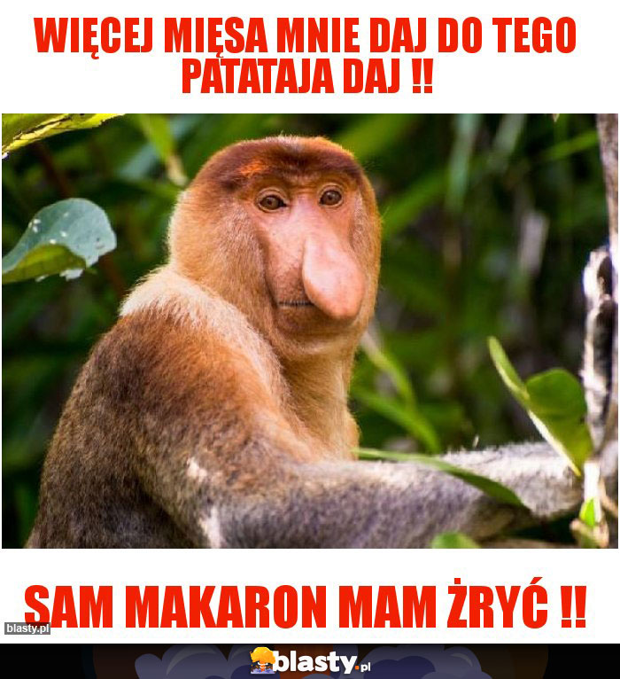 Więcej mięsa mnie daj do tego patataja daj !! Więcej mięsa mnie daj do tego patataja daj !!