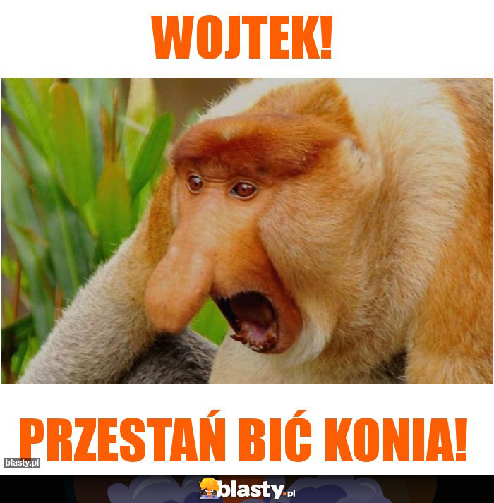 Wojtek!