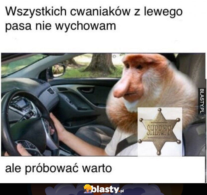 Wszystkich cwaniaków z lewego pasa nie wychowam