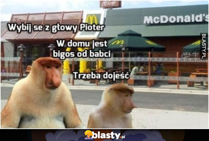 Wybij se z głowy piotr