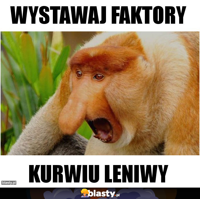 WYSTAWAJ FAKTORY