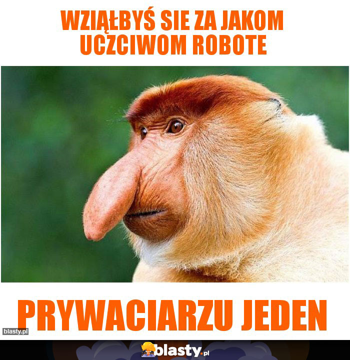 Wziąłbyś sie za jakom uczciwom robote