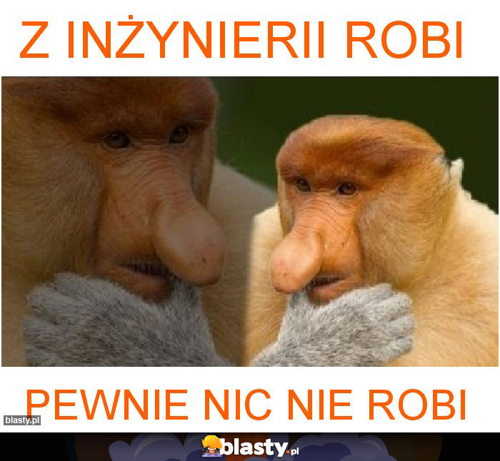 Z inżynierii robi