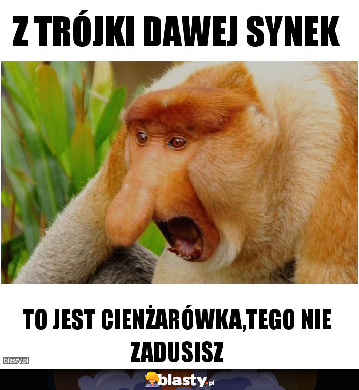 z trójki dawej synek