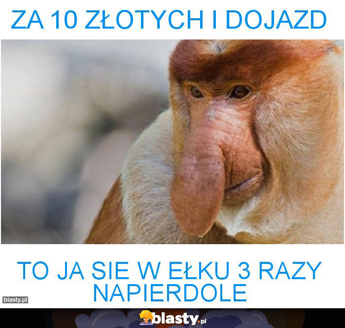 za 10 złotych i dojazd