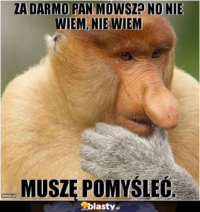 Za darmo pan mówsz? no nie wiem, nie wiem Za darmo pan mówsz? no nie wiem, nie wiem