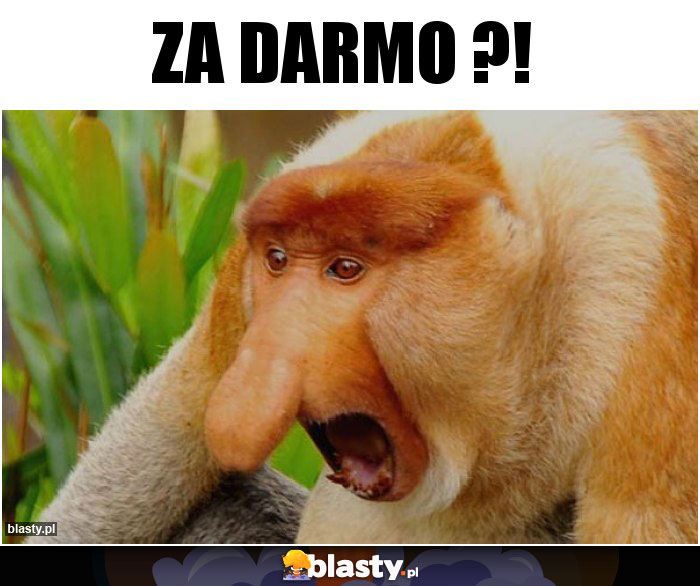 ZA DARMO ?! memy, gify i śmieszne obrazki facebook, tapety