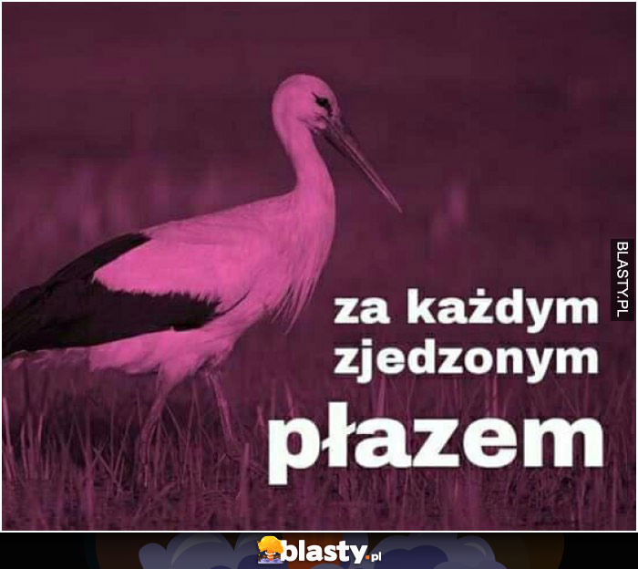 Za każdym zjedzonym płazem