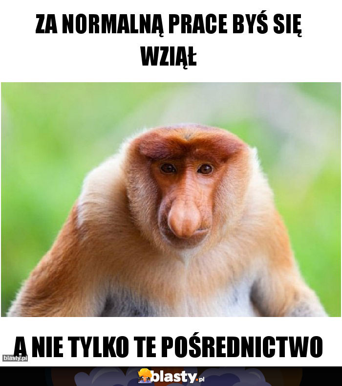 ZA NORMALNĄ PRACE BYŚ SIĘ WZIĄŁ ZA NORMALNĄ PRACE BYŚ SIĘ WZIĄŁ