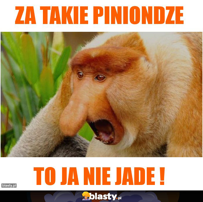 za takie piniondze