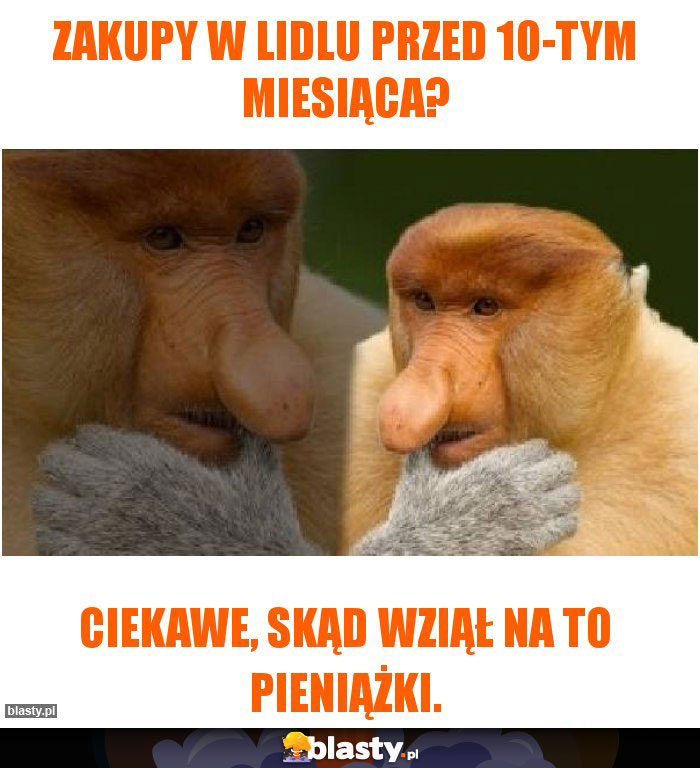 Zakupy w Lidlu przed 10-tym miesiąca? Zakupy w Lidlu przed 10-tym miesiąca?