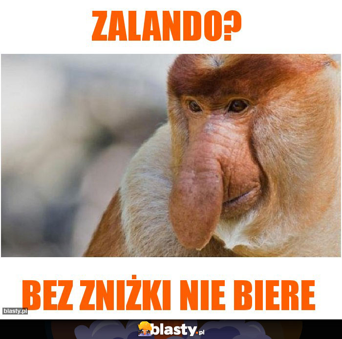 ZALANDO?