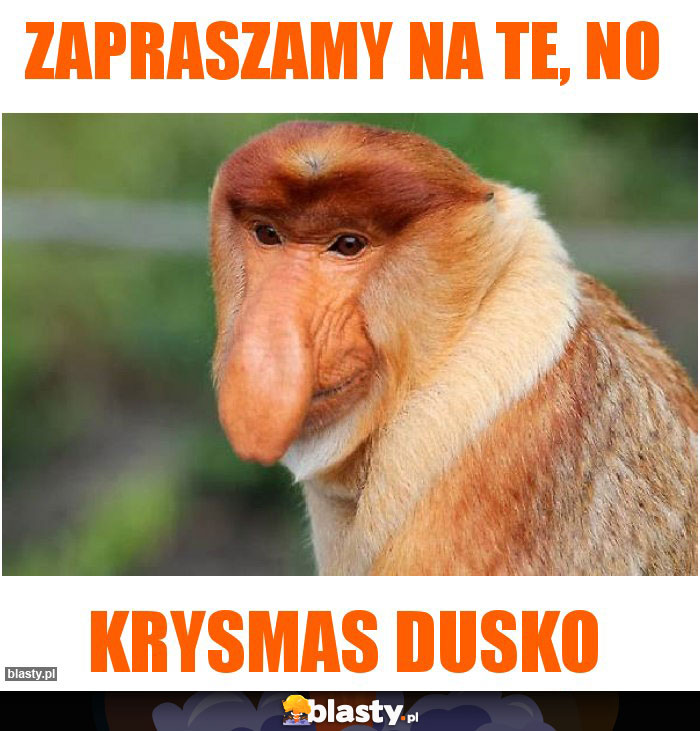 zapraszamy na te, no