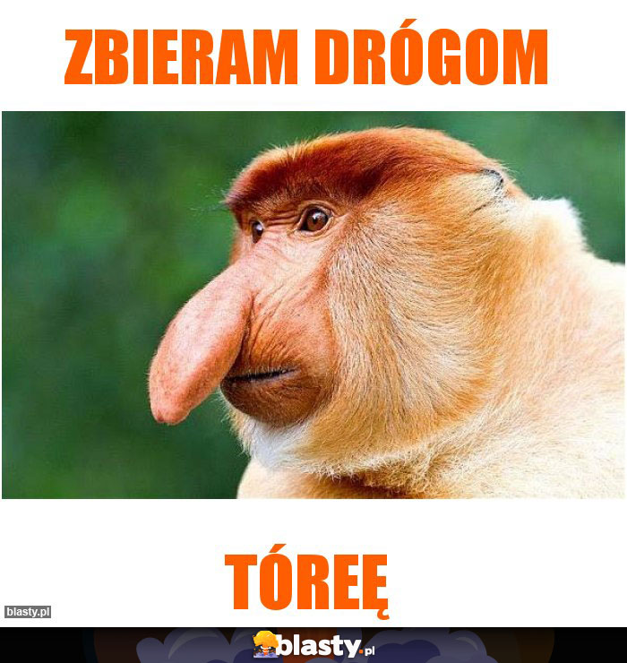 Zbieram drógom