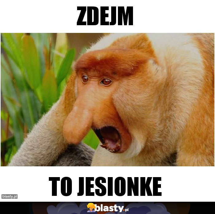 ZDEJM