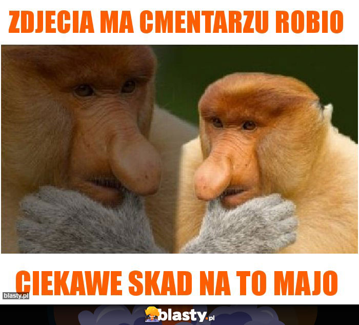 Zdjecia ma cmentarzu robio