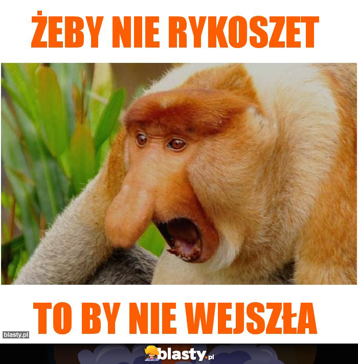Żeby nie rykoszet