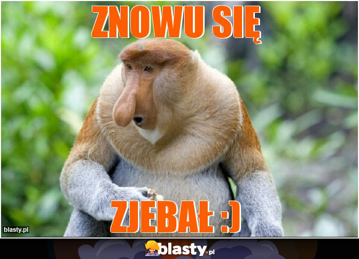 ZNOWU SIĘ