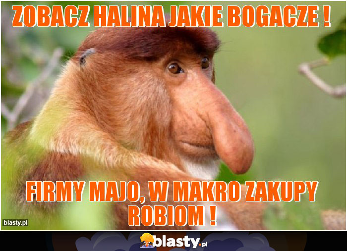 ZOBACZ HALINA JAKIE BOGACZE !