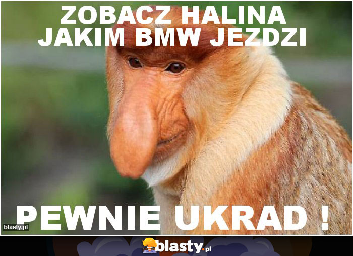 Zobacz Halina jakim BMW jezdzi