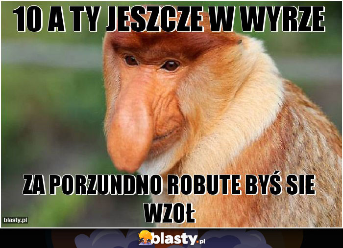 10 a ty jeszcze w wyrze